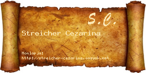 Streicher Cezarina névjegykártya